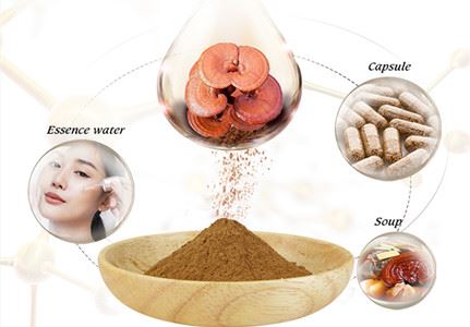 reishi mushroom extract application